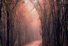 开云体育app-阿森纳碾压巴黎，法比尼奥点燃赛场